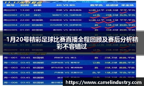 满冠体育首页