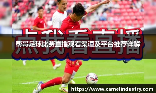满冠体育首页