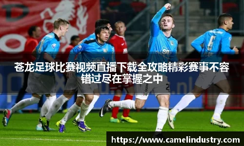 满冠体育登录