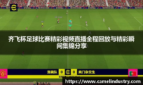 满冠体育平台