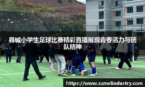 满冠体育首页
