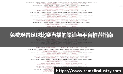 满冠体育平台