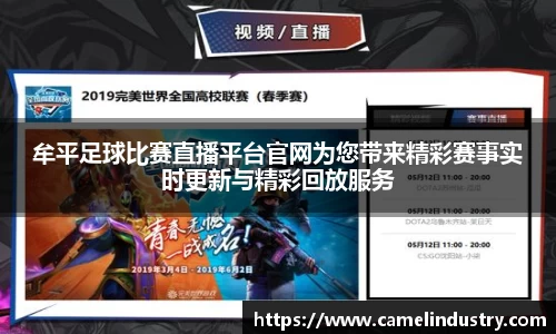满冠体育平台