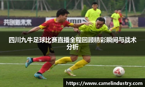 满冠体育平台