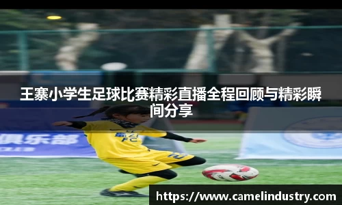 满冠体育平台