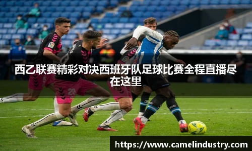 满冠体育平台