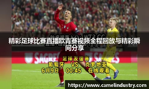 满冠体育平台