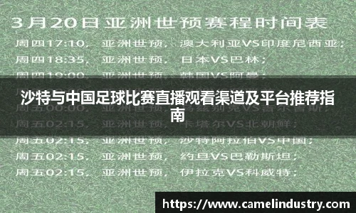 沙特与中国足球比赛直播观看渠道及平台推荐指南