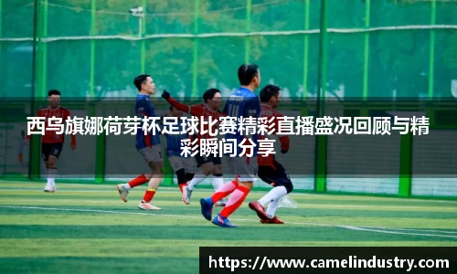 满冠体育登录