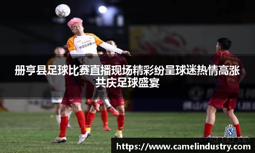满冠体育登录